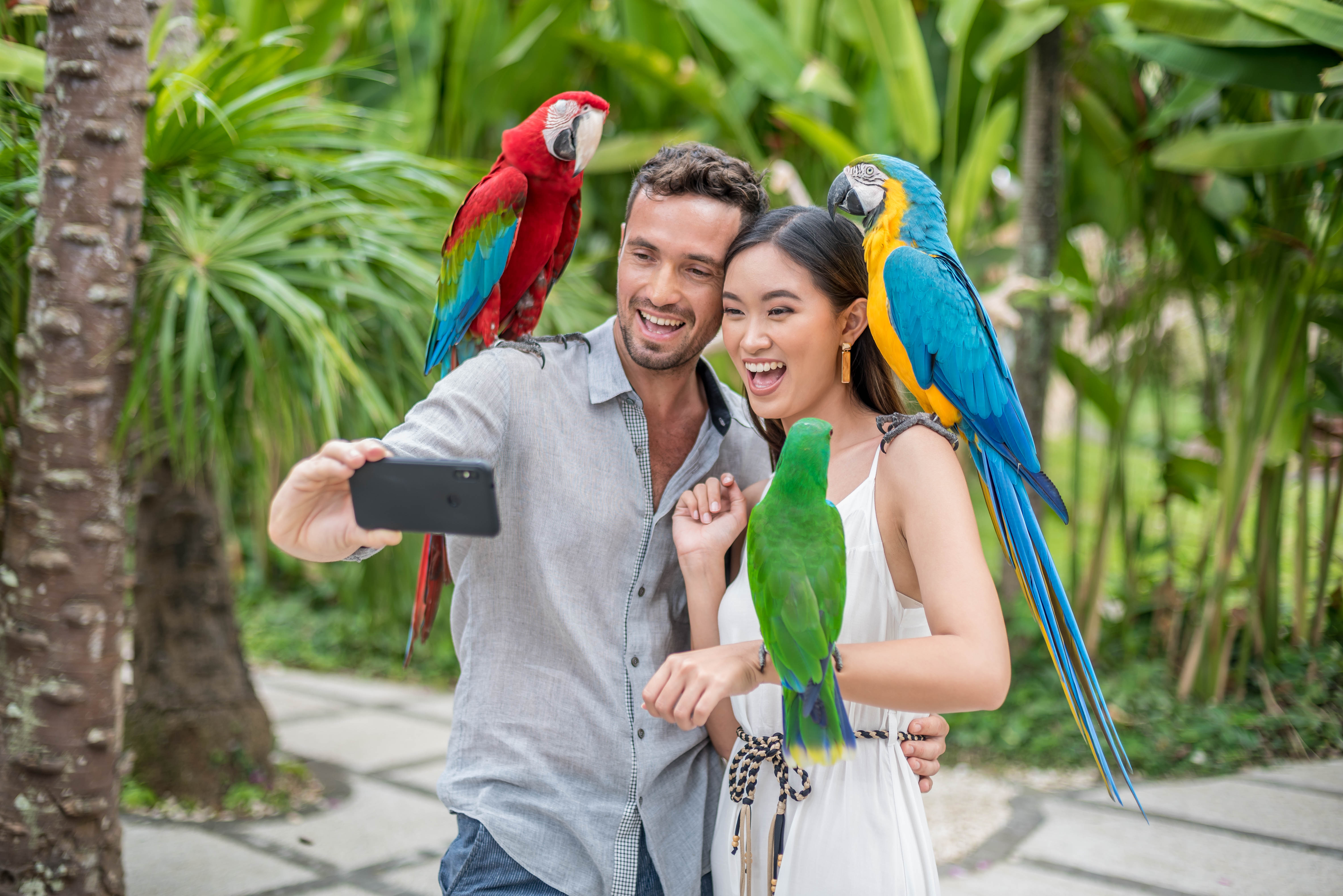 Attraction Photo 6