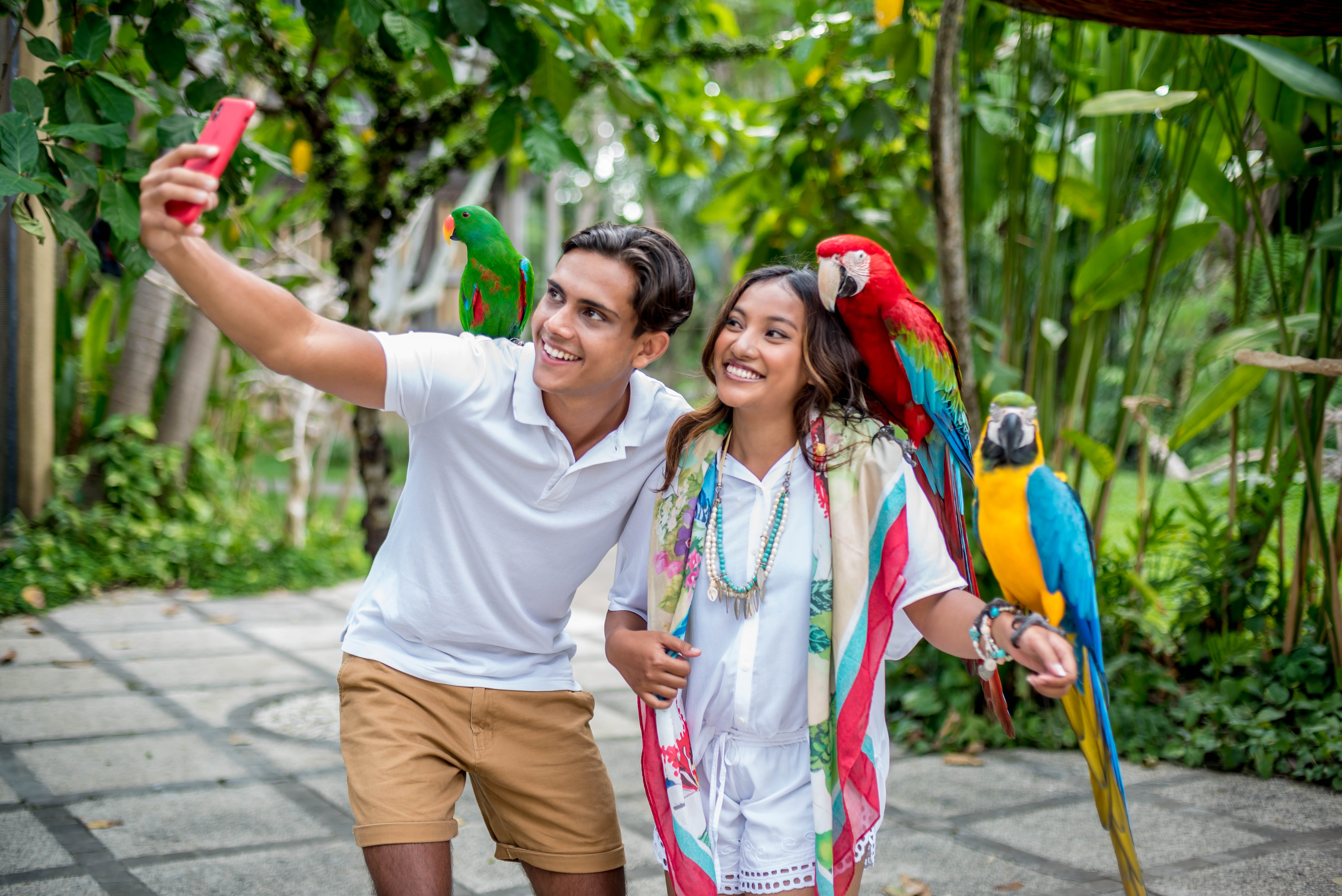 Attraction Photo 4